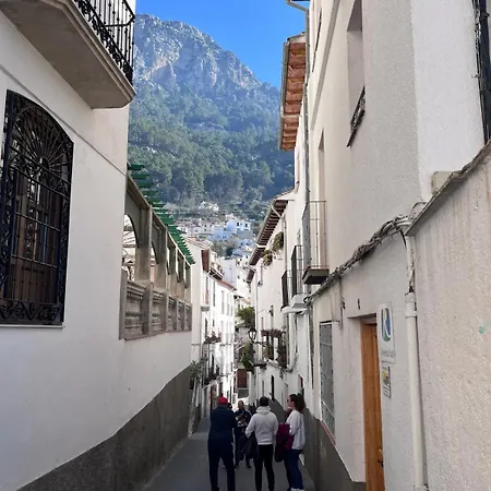 Ml Dreams Parking Gratis Cazorla