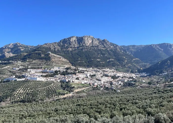 Ml Dreams Parking Gratis *